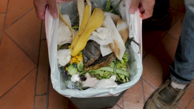 Berrien Springs, MI Junk Removal Services Company